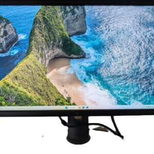 Dell 24" inch