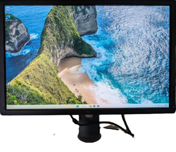 Dell 24" inch